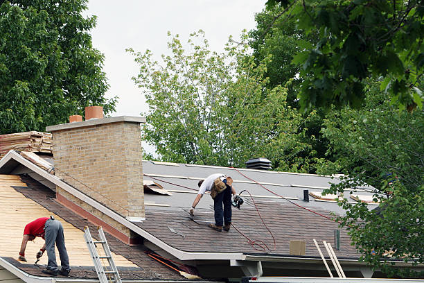 Roof Gutter Cleaning in Adairsville, GA