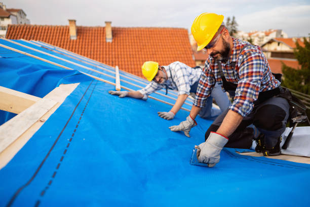 Best Roof Gutter Cleaning  in Adairsville, GA